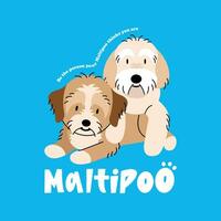 carino maltipoos cane piatto logo vettore design