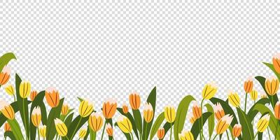 confine di colorato giallo tulipani con le foglie vettore illustrazione, sfondo, Stampa per confezione carta, cartoline, tessile