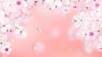 fioritura sakura rosa chiaro fiori fiori di ciliegio realistici vettore