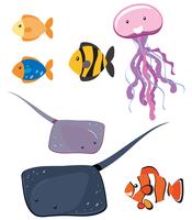 Set di diversi animali marini vettore