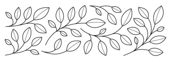 vettore senza soluzione di continuità contorno floreale modello su un' bianca sfondo. monocromatico floreale elementi, pianta parti vettore schizzo.