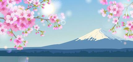 luminosa mattina paesaggio con blu cielo. rami di fioritura bianca ciliegia alberi su il sfondo di montare fuji. tradizionale giapponese hanami Festival ciliegia fiori nel presto primavera. piatto illustrazione vettore