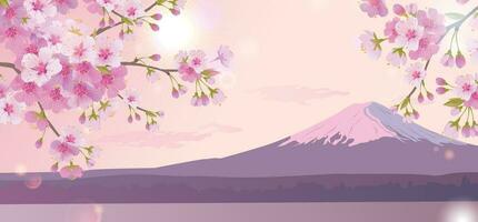 luminosa mattina paesaggio con rosa cielo. rami di fioritura bianca ciliegia alberi su il sfondo di montare fuji. tradizionale giapponese Festival hanami ciliegia fiorire nel presto primavera. piatto illustrazione vettore