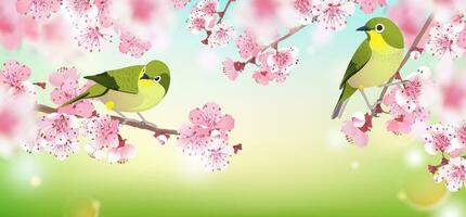 realistico ramo di rosa sakura su un' blu verde sfondo. ciliegia fiorire è un' simbolo di amore, primavera. vettore illustrazione per nozze inviti, sfondo. design per sfondo, fiore.