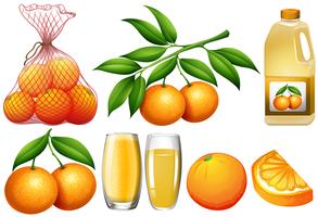Arance e prodotti arancioni vettore