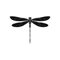 silhouette di un' libellula. glifo icona di insetto, semplice forma di damselfly. nero vettore illustrazione su bianca. Perfetto per decorazione, intaglio, design.