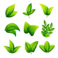 collezione di icone di foglie vettore