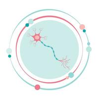 neurone vettore illustrazione grafico icona simbolo