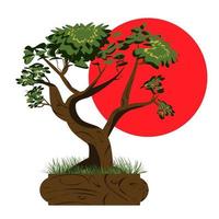 Albero bonsai. bonsai giapponese nel vaso e con erba intorno. icone della pianta isolate su priorità bassa bianca. pianta asiatica con il sole sullo sfondo. vettore