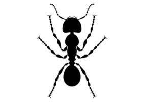 nero e bianca formica clipart vettore