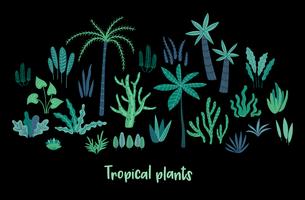 Insieme di vettore delle piante tropicali astratte. Elementi di design