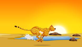 Un ghepardo che corre nel deserto vettore