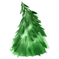 Natale albero. acquerello arte. vettore sempreverde albero illustrazione. isolato nuovo anno.