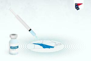 covid-19 vaccinazione nel nord carolina, coronavirus vaccinazione illustrazione con vaccino bottiglia e siringa iniezione nel carta geografica di nord carolina. vettore