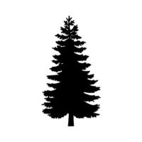 pino albero icona vettore. Natale albero illustrazione cartello. pino simbolo o logo. vettore