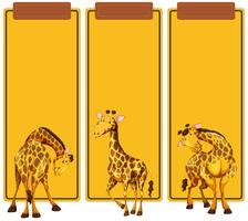 Post diversi di giraffa sul banner vettore