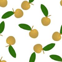 illustrazione sul tema grande longan senza cuciture colorato vettore