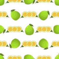 illustrazione sul tema grande pomelo senza cuciture colorato vettore