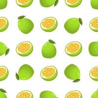 illustrazione sul tema grande pomelo senza cuciture colorato vettore