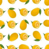 illustrazione sul tema grande kumquat big colorato senza soluzione di continuità vettore