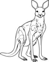 realistico canguro vettore illustrazione