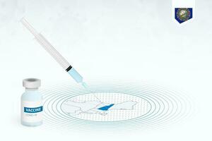 covid-19 vaccinazione nel nuovo hampshire, coronavirus vaccinazione illustrazione con vaccino bottiglia e siringa iniezione nel carta geografica di nuovo hampshire. vettore