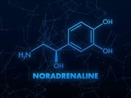 noradrenalina concetto chimico formula icona etichetta, testo font vettore illustrazione.