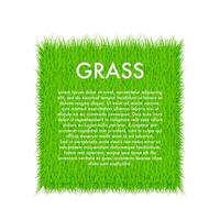 cerchio con erba, verde erba sfondo. telaio. vettore azione illustrazione