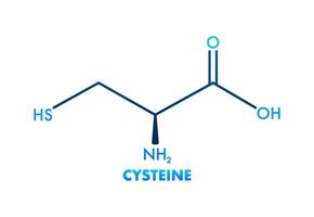 cisteina molecolare scheletrico chimico formula. 3d icona con cisteina. vettore