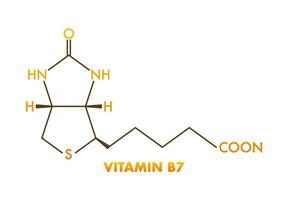 vitamina b7 formula. vitamina b7 biotina molecola. scheletrico formula. vettore