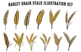 impostato di orzo grano gambo vettore illustrazione, gratuito stelo di mais silhouette vettore impostato