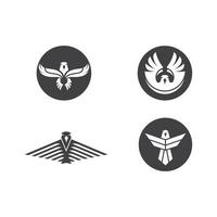 vettore del modello del logo dell'uccello dell'aquila del falco