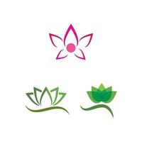 logo fiori di loto vettore