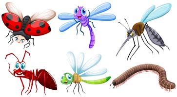 Diversi tipi di insetti vettore