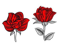 set di illustrazioni di rose in fiore per elemento logo vettore