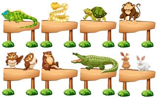 Cartello in legno con diversi animali selvatici vettore