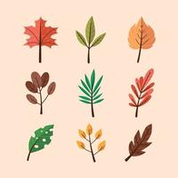collezione di icone di foglie autunnali vettore