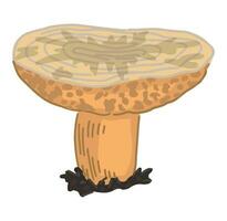 veleno fungo clipart isolato su bianca. astratto fungo nel cartone animato stile. colorato vettore illustrazione di Halloween arredamento.