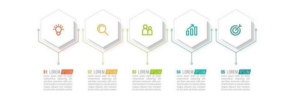 modello di infografica cinque opzioni vettore
