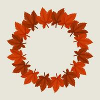 autunno autunno ghirlanda telaio di acero le foglie con vuoto spazio per testo vettore