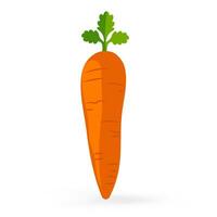 un' fruttato carota icona isolato su bianca sfondo vettore illustrazione