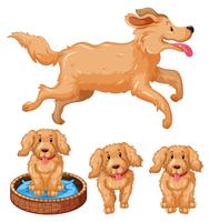 Cane e cuccioli con pelliccia marrone vettore