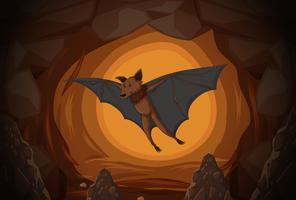 Bat in una grotta vettore