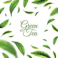 illustrazione vettoriale di sfondo di tè verde