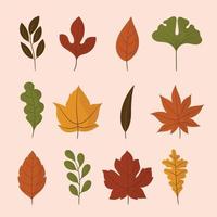collezione di icone di foglie autunnali vettore