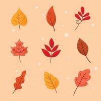 raccolta di foglie d'autunno