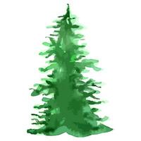 acquerello vettore Natale albero. sempreverde illustrazione. isolato nuovo anno.