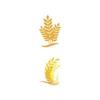 logo di grano modello simbolo vettoriale natura
