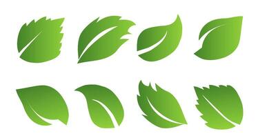 un' impostato di verde le foglie su un' bianca sfondo, per loghi, icone, disegni, per il simbolismo di il verde pianeta vettore