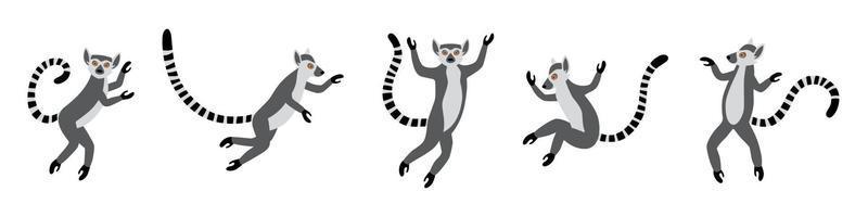 simpatici e divertenti lemuri dalla coda ad anelli saltano. lemure esotiche catta. vettore
